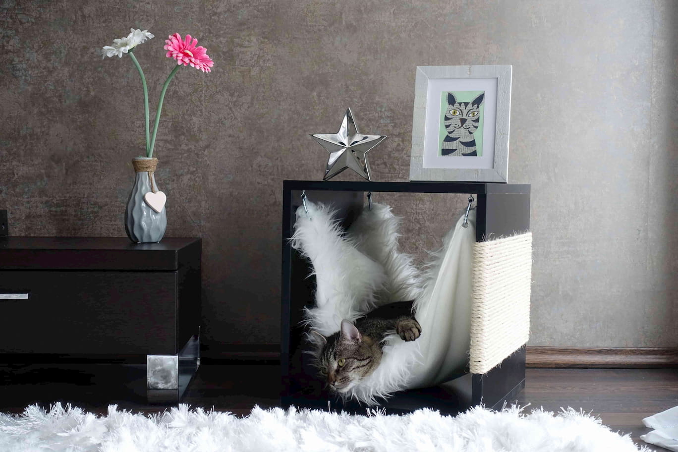 Katze liegt in dunklem Kratzwürfel mit weißer Katzen-Hängematte und Kratzfläche aus Sisalseil.